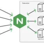 Nginx Nedir? Ne İşe Yarar?