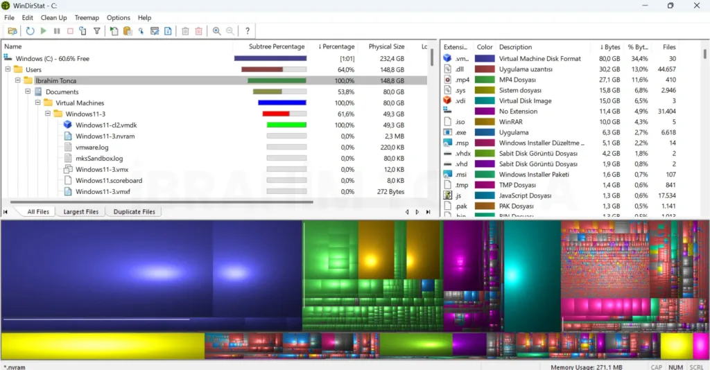 WinDirStat disk analizi ekranı